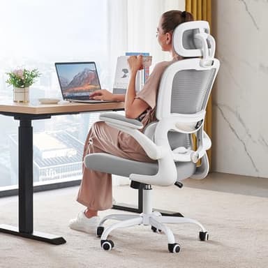 TRALT Ergonomic Office Chair - Office Chair with Adjustable Lumbar Support & 2D Flip-Up Arms Comfortable 330 LBS Gaming Chair - Home Mesh Desk Chairs Swivel Task Chair High Back for Long Hours (Grey)